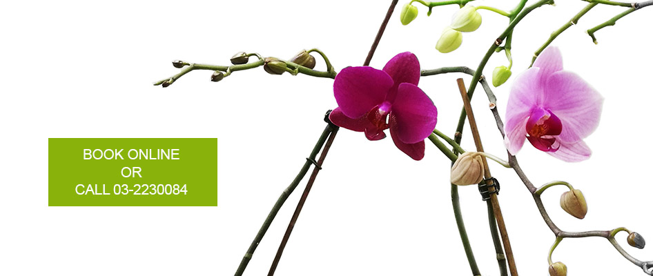 Welcome to your personalized treatments!